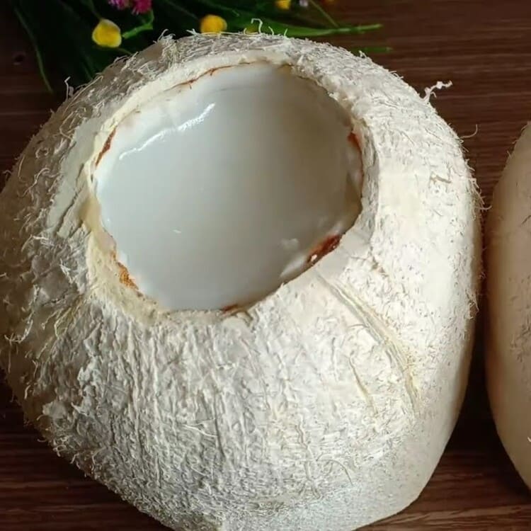 Kem Trái Dừa & Thạch Dừa Xiêm Mỹ Đình