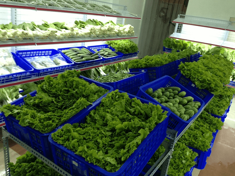 cửa hàng rau sạch Hà Nội